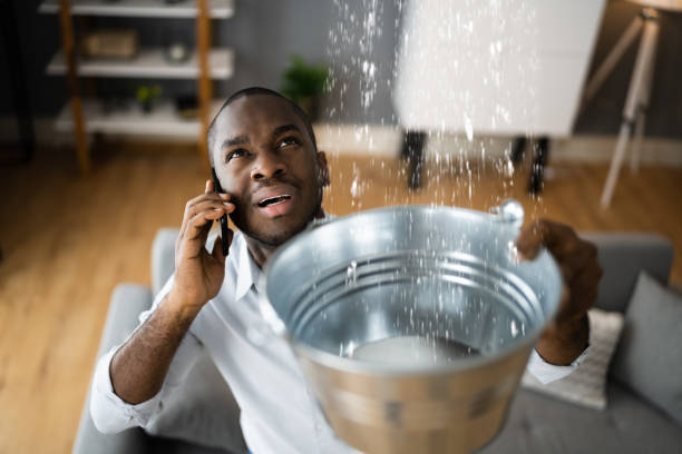 Best Professional water damage repair  in Ringwood, NJ