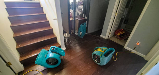 Best Water damage restoration near me  in Ringwood, NJ