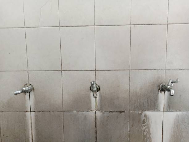 Best Professional water damage repair  in Ringwood, NJ