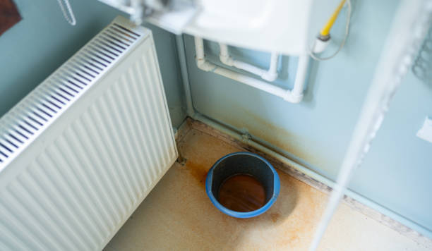 Best Water damage cleanup near me  in Ringwood, NJ