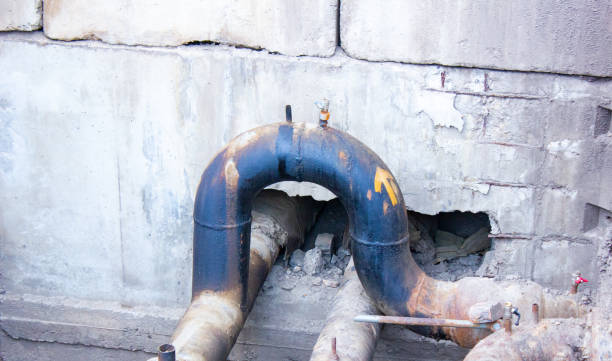 Best 24/7 water damage repair  in Ringwood, NJ