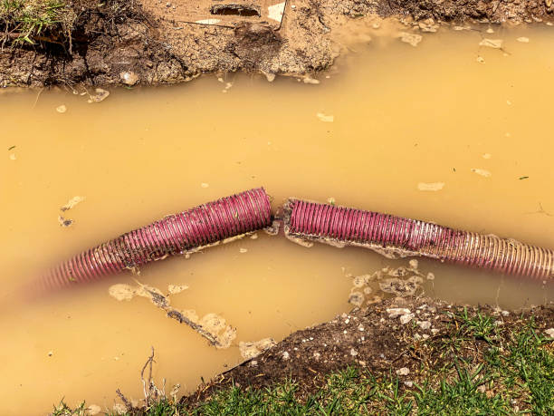 Best 24/7 water damage repair  in Ringwood, NJ