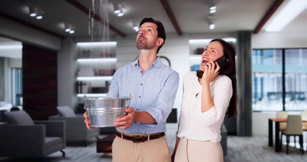 Best Water damage restoration near me  in Ringwood, NJ