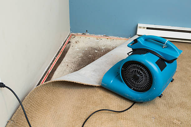  Ringwood, NJ Water damage restoration Pros